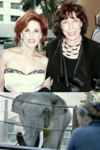 kramer_tomlin_billyelephant Kat Kramer and Lily Tomlin