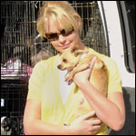 Katherine-Heigl