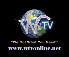 Flat WTV New Updated merged LOGO