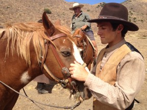 Matthew_Ziff_Horse_web