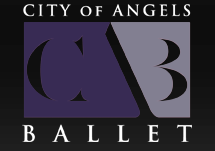logo21